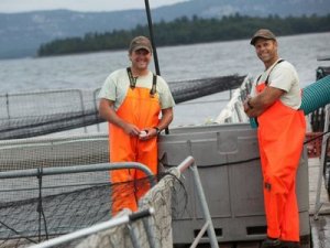 108. Marine Farmer Aquaculture Farmer